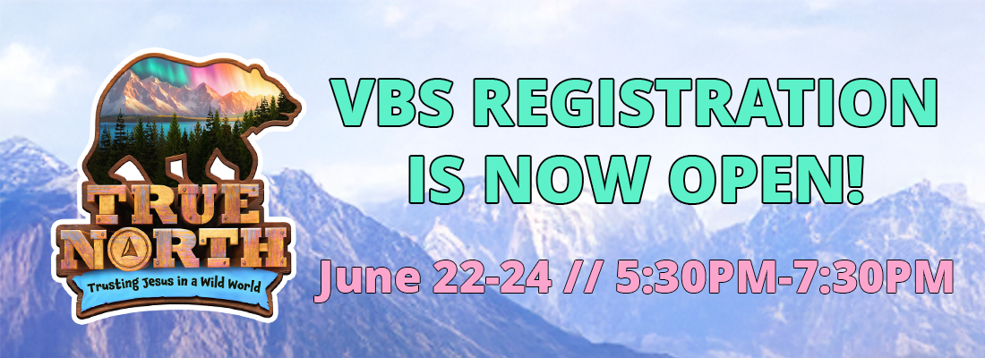 VBS Web banner2